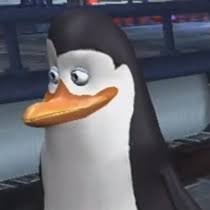 Profile Picture of Kowalski (@AngusKelly18) on Twitter