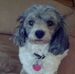 Profile Picture of Dorothy Pate Walker (@dorothy.walker.773) on Facebook