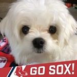 Profile Picture of Michelle Anne (@chaffeemom69) on Instagram