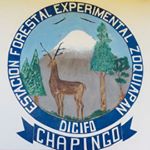 Profile Picture of René Salinas (@rene_salinas_lopez) on Instagram