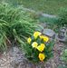 Profile Picture of Jo Brewer (@jo.brewer.589) on Facebook