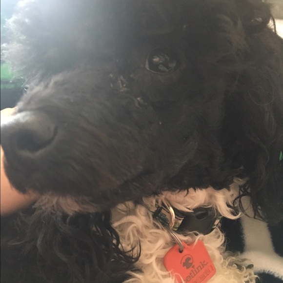 Lexi Carder - Poshmark Profile Picture of Lexi Carder (@lexi7120) on Poshmark