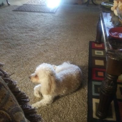 Profile Picture of Jami Marie Patterson (@JamiMariePatte1) on Twitter