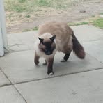 Profile Picture of Larry Suderman (@larry.suderman.2025) on Facebook