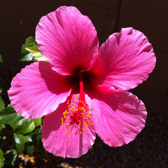 Profile Picture of Lisa Zerda (@lisaz13) on Poshmark