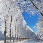 Profile Picture of Gareth Benjamin (@gareth5290) on Instagram