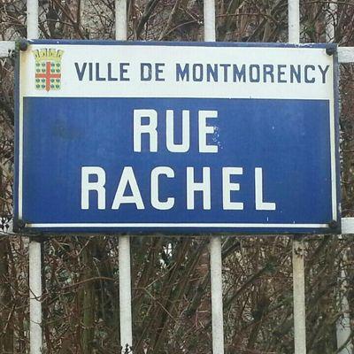 Profile Picture of Rachel Rego (@regorachelrego) on Twitter