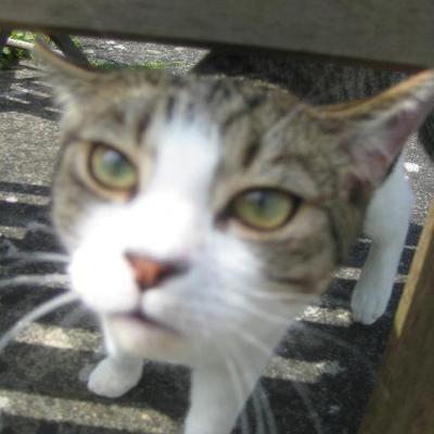 Profile Picture of Georgie & Donny (@jowaller12) on Twitter