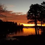 Profile Picture of Deborah Cooley (@deborah.cooley) on Instagram