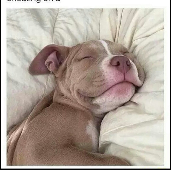 Dana Leard - Poshmark Profile Picture of Dana Leard (@danaleard) on Poshmark