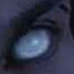 Profile Picture of Sterling Gordon (@Styx N knotts) on Flickr