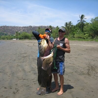 Profile Picture of Gary Hammond (@CRCrabber) on Twitter