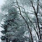 payton phillips - Instagram Profile Picture of payton phillips (@phillips_payton) on Instagram