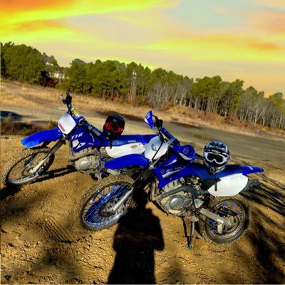 Profile Picture of Alan Weidner (@Alan_Weidner) on Twitter