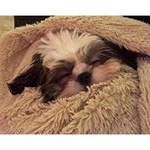 Profile Picture of robinperrin9 (@robinperrin9) on Instagram