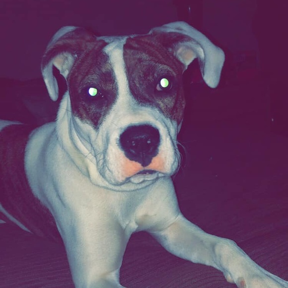 Profile Picture of Marissa Maynard (@maynardnicole) on Poshmark