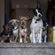 Profile Picture of Rachael Newton-Benham (@rachaelnewton-benham2261) on Youtube