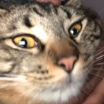 Profile Picture of LuisCastorena (@luis_castorena_r) on Instagram