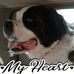 Profile Picture of Annie Mae Clouser (@anniemae.clouser) on Facebook