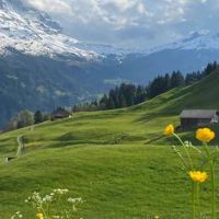 Profile Picture of Dixie Mccormick (@user12702057681887) on Tiktok