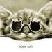 Profile Picture of Ann Gatto (@ann4021) on Pinterest