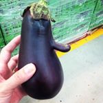 Profile Picture of Mark Feldman (@homefood_mark) on Instagram