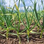 Peter Janák - Facebook Profile Picture of Peter Janák (@Peter-Janák) on Facebook