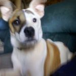 Profile Picture of Ron Kight (@kightron) on Instagram