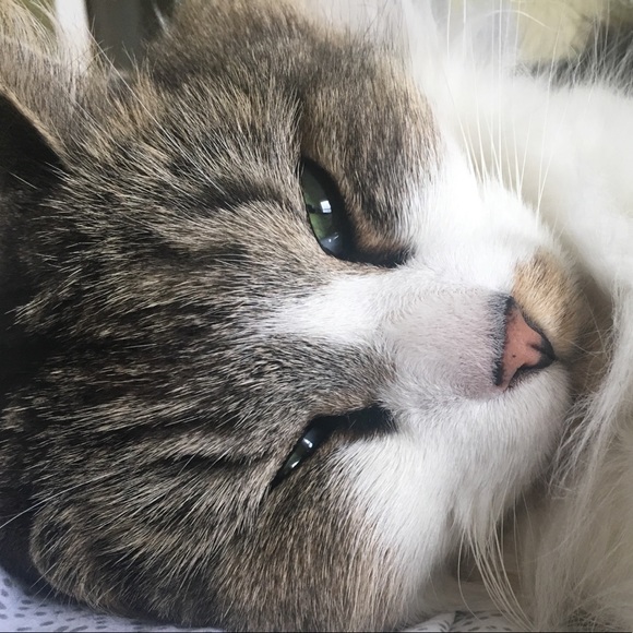 Profile Picture of Kate Sands (@kate_sands) on Poshmark