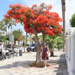 Profile Picture of Annie Garbutt (@garbuttannie) on Instagram