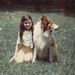 Profile Picture of Kellie Bruner (@bruner0521) on Pinterest