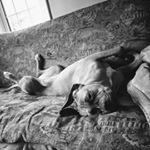 Profile Picture of Nathan Ganong (@nathanganong) on Instagram