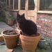 Profile Picture of Loraine Atkinson (@loraineatkinson) on Pinterest