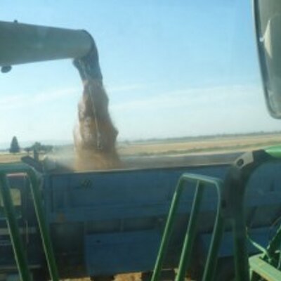Profile Picture of Nathan Ashcraft (@farmernate) on Twitter