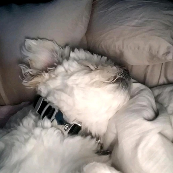 Profile Picture of Joseph Hanson (@jtd_squad_n) on Poshmark