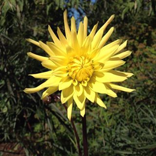 Frank Itkowsky - Facebook Profile Picture of Frank Itkowsky (@Frank-Itkowsky) on Facebook