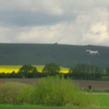 Profile Picture of Amanda Schoonmaker (@AmandaKMorgan) on Twitter