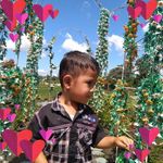 Profile Picture of Komala Eka Putri (@lisa.safti) on Instagram