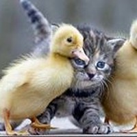 Profile Picture of Joan Wong (@joan-wong-19) on Quora