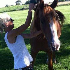 Profile Picture of Lisa Murphy Swanberg (@lisaswanberg) on Tiktok