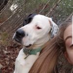 Profile Picture of Casey Bates (@casey_bates12) on Instagram