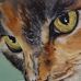 Profile Picture of Karen Sturm (@karen.sturm.796) on Facebook