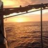 Profile Picture of Larry Wiseman (@@larrywiseman7) on Tiktok
