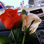 Profile Picture of Sasha.Mohan (@dumbledore.albus25) on Instagram