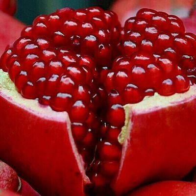 Profile Picture of Amir Mortazavi (@AmirMortazavi10) on Twitter