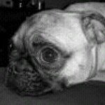 Profile Picture of Amber Bailey (@ambermbailey1976) on Instagram