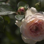 Profile Picture of Jeremy (@jeremybagleyszy) on Instagram