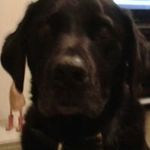 Profile Picture of Sharon Prior (@sharon.prior.9849) on Instagram