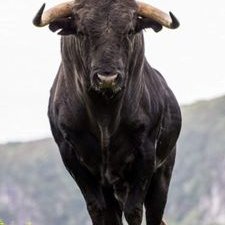 Profile Picture of Jose Migel Belvis Recuero (@BelvisMigel) on Twitter