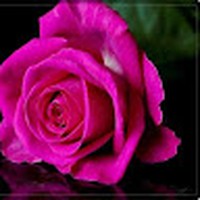 Profile Picture of Jo Robin (@jo-robin-5) on Quora